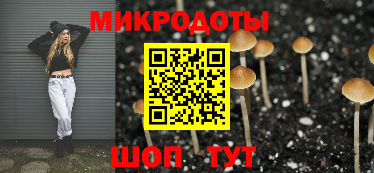 Галлюциногенные грибы Psilocybe  Галлюциногенные грибы мицелий  Вход с VPN  Омск 